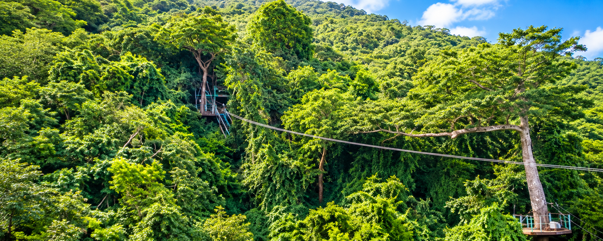 Rainforest Zipline Adventure